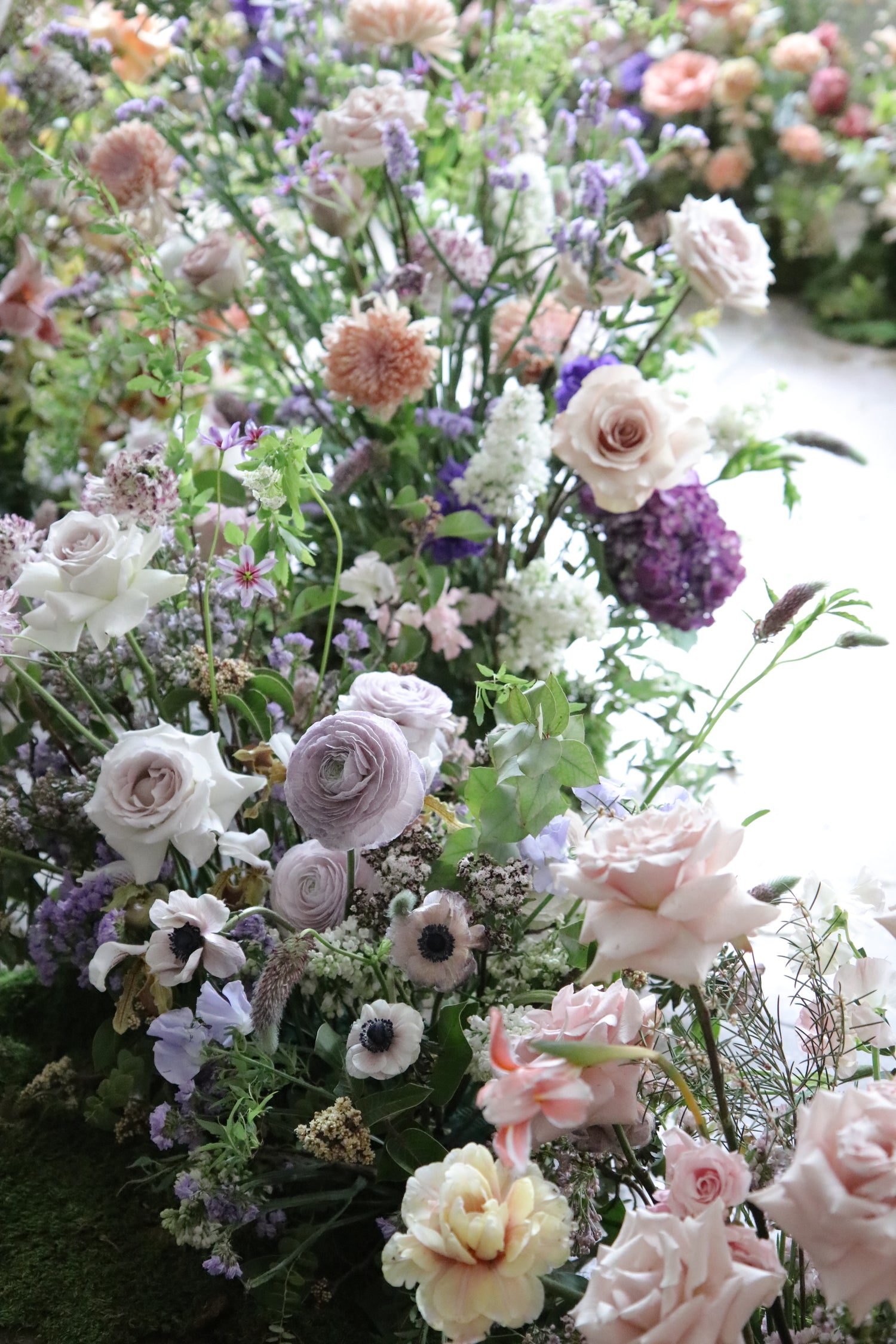 Image with text section