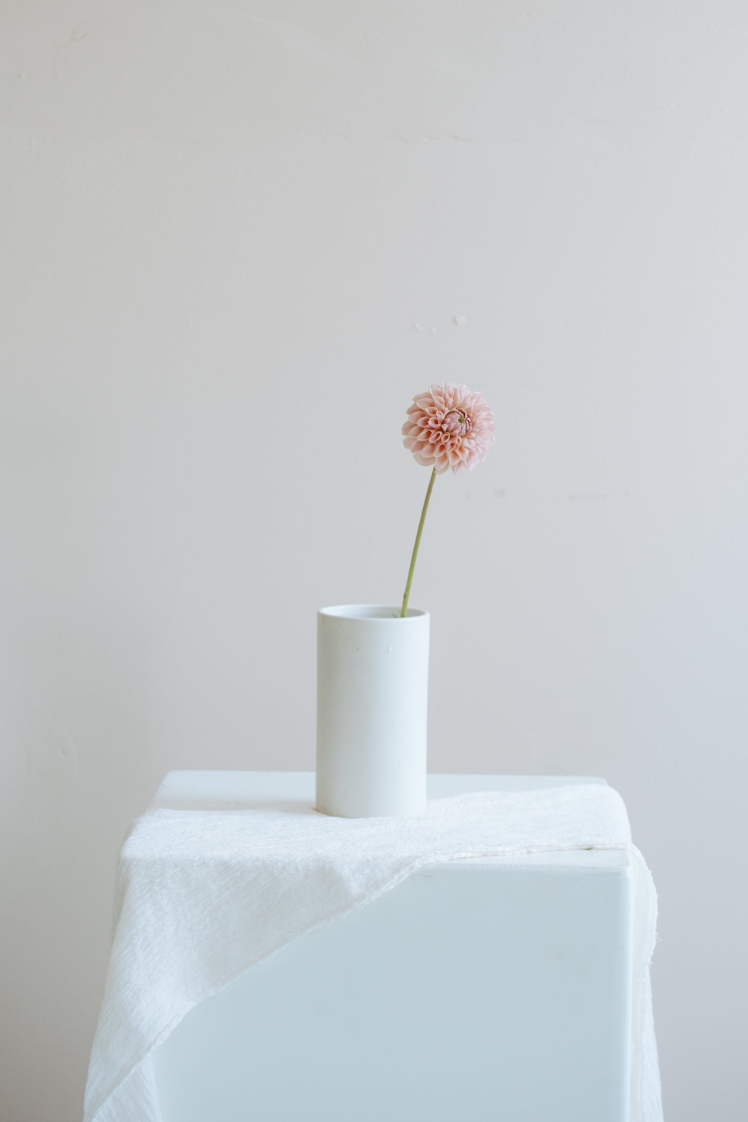 Image with text section